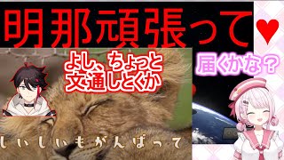 大会でアッキーナと匂わせする椎名唯華と、ジェネリックさくゆい【椎名唯華/三枝明那/剣持刀也/笹木咲/マリカにじさんじ杯/切り抜き】