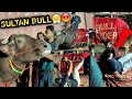 SULTAN BULL 🐂 Ne Ganga Snan Pr Humare Tent Mai Aa Kr😡😤GUSSE Mai Sabko Gira Diya ( चाचा भी गिर गए) 🥺