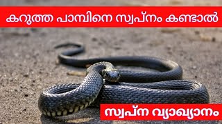 കറുത്ത പാമ്പിനെ സ്വപ്നം കണ്ടാൽ|paambine swapnam kandal