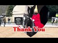 heartbreaking moment his final day at horse guards london