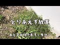 塩麹作って雑草むしって疲れ果てる レトロインテリア vlog