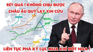 Châu Âu mua khí đốt Nga trong cơn cuồng điên ! - 5P Kiến Thức