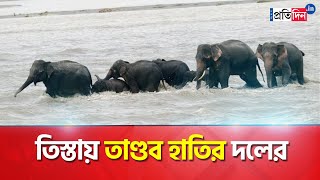 Jalpaiguri Incident: Once again, the rampage of the Elephants on the banks of the Teesta River