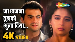 जा सजना तुझको भुला दिया (4K Video) | Ja Sajna Tujhko Bhula | Raja Movie (1995) | 90's Sad Song
