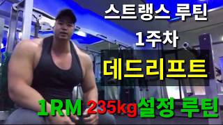 3대 600kg 훈련  -deadlift 1RM 235kg 설정루틴-