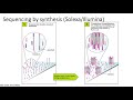 MCB 182 Lecture 2.4 - Illumina SBS sequencing