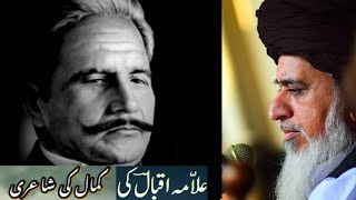 Allama Khadim Hussain Rizvi Iqbal Poetry|tlp bayan|poetry status|Urdu poetry|saad rizvi|tlp status