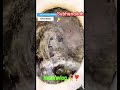 hajre aswad art hajreaswadoffical explore hajj hajjlive mecca madinahlive madina shortvideo