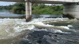 shimsha river in Shathalli maddur