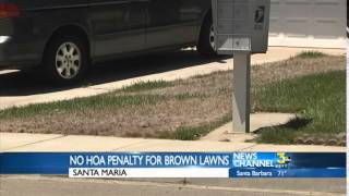 No More Fines for Brown Lawns in California