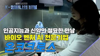 K-컴퍼니의 비밀 9회 인공지능과 신약의 절묘한 만남 바이오 벤처 AI 전문기업 [온코크로스]