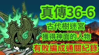 貓咪大戰爭-多龍，討伐完畢！真傳36-6【古代樹迷宮】 獲得神面的人物 有敗編成通關紀錄