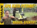 Pak Ujang: 