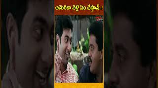 అమెరికా వెళ్లి ఏం చేస్తావ్..! #ytshorts #shorts #comedy #telugumovies #funnyvideos | Navvula Tv