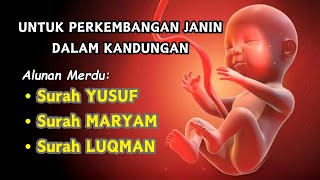 Surah Maryam, Surah Yusuf, Surah Luqman untuk Ibu Hamil dan Janin Agar Terlahir Sehat Sempurna