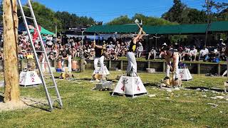 Woodchopping 300mm underhand handicap