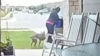 Hero Mom Saves Toddler After Pit Bull Bites His Stomach