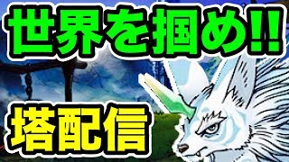 【DQMSL】本気で神獣王WORLDを獲りに行く！不思議の塔の雑談枠！