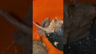 VIRAL BAKSO DAGING TIKUS