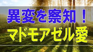 【テレフォン人生相談】愛先生、異変を察知！-マドモアゼル愛 【テレフォン人生相談-ＴＥＬ人生相談】