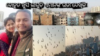 Nishu କାହିଁକି କାନ୍ଦିଲେ କଣ ହେଇଛି ତାଙ୍କର /@B.nishulifestyle48