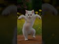 Cat Dance video 🐱 | Cat Dance Animation videos #yt #shorts #cat #short #cartoon #shortvideo #shots