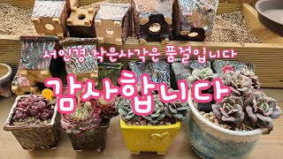 23.3.22.베란다에서 쓰기좋은 서인경 사각화분 입고했어요.