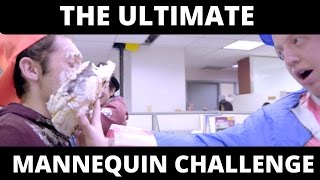 Mayhem Breaks Out In A Cancer Organization Office - Mannequin Challenge