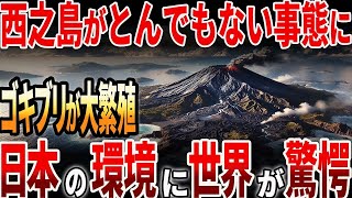 【海外の反応】西之島がゴキブリ大繁殖でとんでもない事態に！日本の環境に世界中が驚愕？！