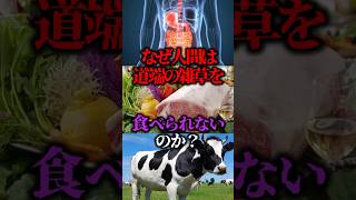 なぜ人間は道端の草を食べられないのか？【ゆっくり解説】