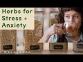 Common and Accessible Herbs for Stress and Anxiety | Plant-Based | Well+Good