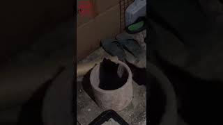 黒猫の子猫たち 夜の運動会 #shorts Cute kittens playing. 保護猫 可愛い 遊ぶ じゃれる 兄弟猫