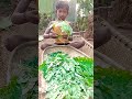 ସୁଜୁନା ଶାଗ drumstick leaves tribal_food youtubeshorts