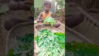 ସୁଜୁନା ଶାଗ/drumstick leaves #tribal_food#youtubeshorts