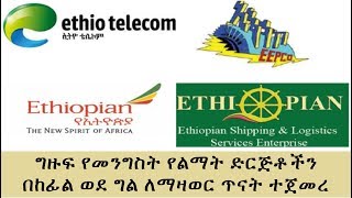 Ethiopia: ግዙፍ የመንግስት የልማት ድርጅቶችን በከፊል ወደ ግል ለማዛወር ጥናት ተጀመረ