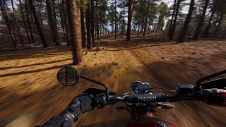 Riding through Ponderosa pines | Triumph Scrambler 400x | Silent Vlog | Moto ASMR