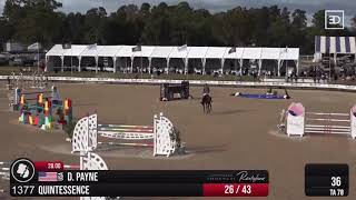 Quintessence - 3rd Place $100k CSI** Grand Prix