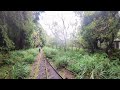 136 walking around mianyue line r1 alishan park chiayi county taiwan island 2024 09 21