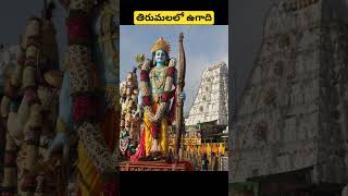 తిరుమలలో ఉగాది #shorts #youtubeshorts #తిరుమల #ఉగాది