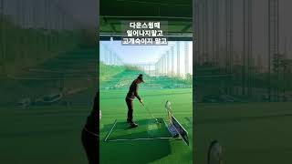 구력2년 프로골퍼도전 7일차 다운스윙때 일어나지말고 ⛳️ 고개숙이지 말고 다운스윙때 일어나지말고 #shorts #golfstagram #golfswing