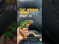 Ga nyangka waktu di pisang #viral #reptiles #reptil #reptile #bunglon #chameleon