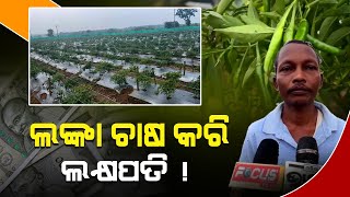 ଲଙ୍କା ଚାଷ କରି ମାସକୁ ତିନିଲକ୍ଷରୁ ଉର୍ଦ୍ଧ ଟଙ୍କା ଆୟ କରୁଛନ୍ତି, ଆଦିବାସୀ ଯୁବକ l