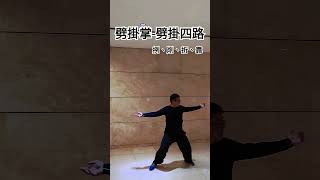 劈掛四路-第四路（挒削折靠）隨意版 #八極拳 #功夫 #劈掛掌 #傳統武術