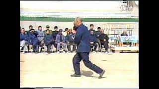 塵封武藝 形意拳 003 十二形拳 趙永昌 66歲（山西）#kungfu #martialarts