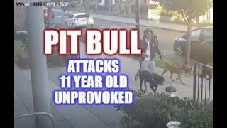 Pit Bull Attacks 11 Year Old Unprovoked (The Incompetence Of Dog Behaviorists)