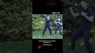Wing Chun vs Mantis Kung Fu Techniques - Part 19 #shorts