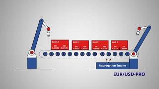 How ECN Work