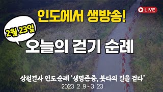 [현지 생방송] 상월결사 인도순례 15일차 2023.2.23 | 상월결사 인도순례 #박준상기자 #박성환피디