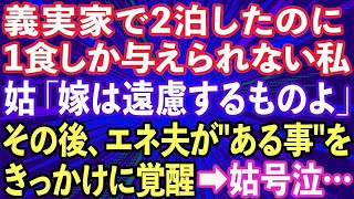 【スカッとする話】嫁いびり大好きな姑「嫁は義実家で水一滴でも飲むな！」私「へぇ〜」→1時間後、電話中の義母「違うわ！私は嵌められたの！」私が大爆笑したワケがwww