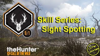 Sight Spotting Skill